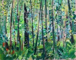 Llewellyn Petley-Jones