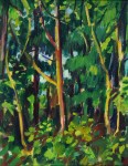 Llewellyn Petley-Jones