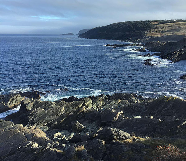 Amelia Alcock's Residency at the Pouch Cove